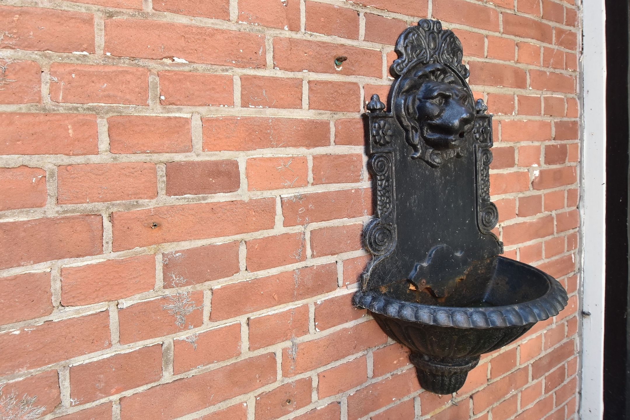 Foto 18 van Frankenslag 316