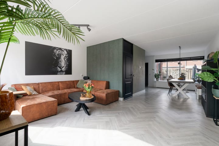 Foto 2 van Silene 67