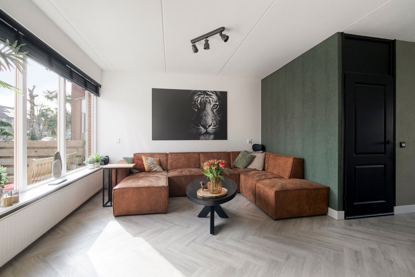 Foto 10 van Silene 67