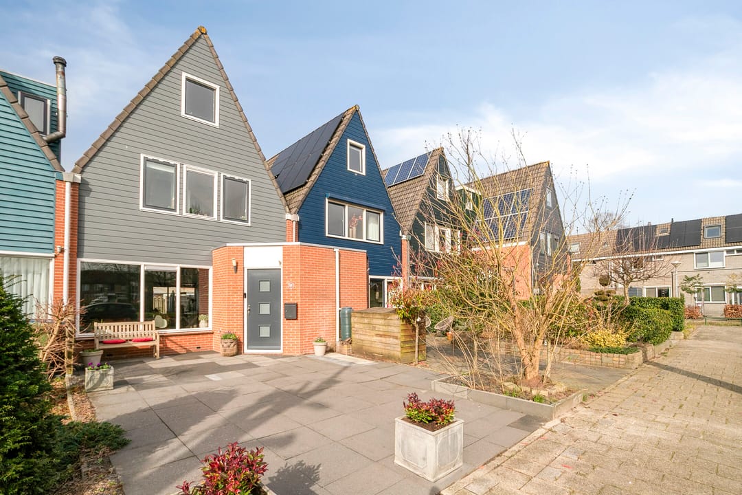 Foto 1 van Silene 67