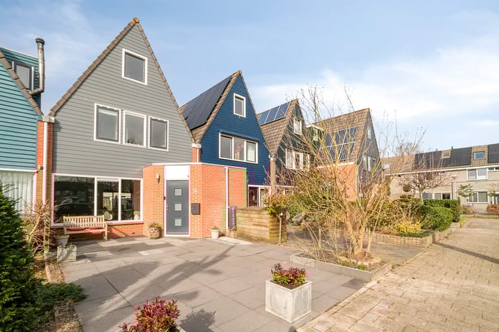 Silene 67 main image