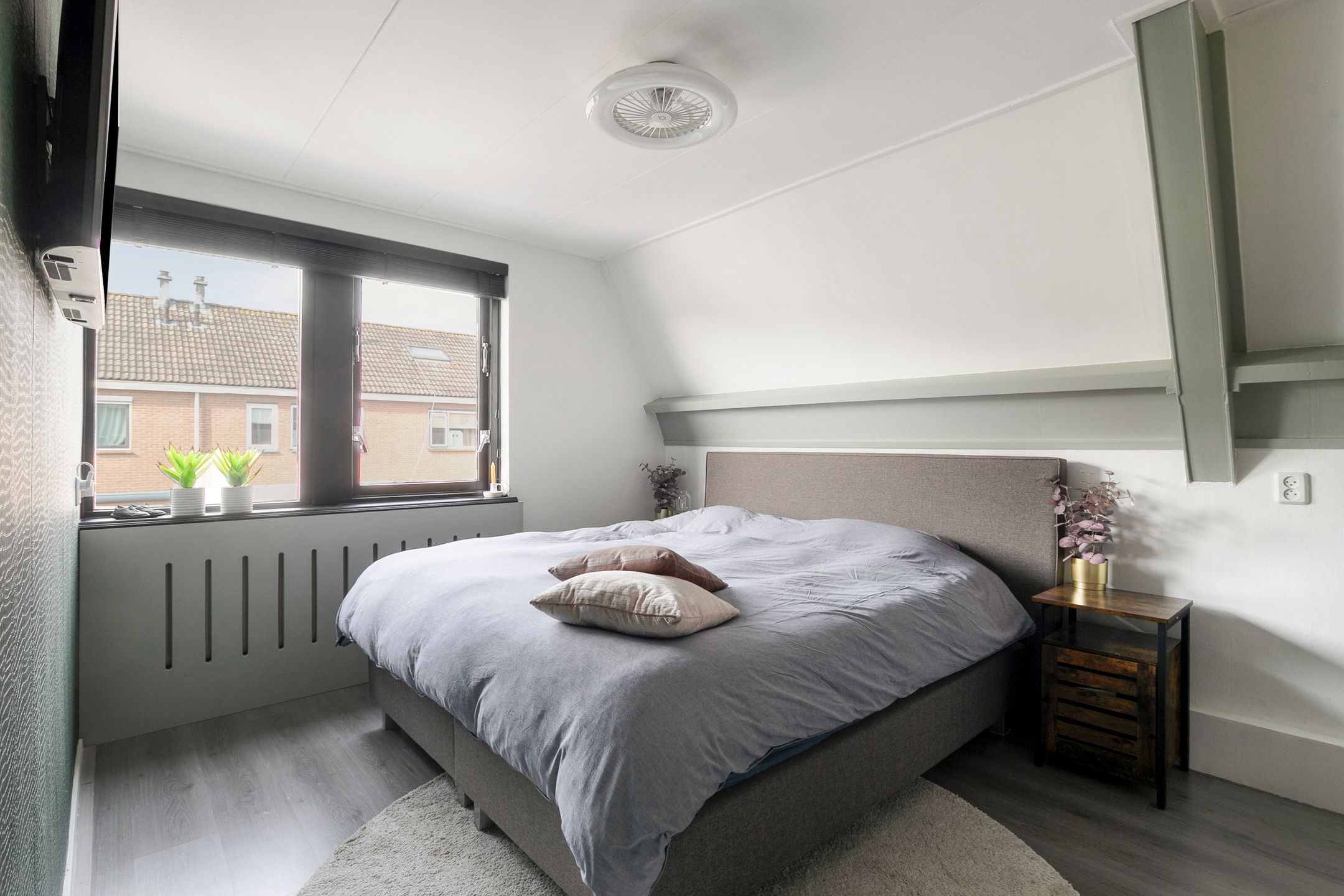 Foto 24 van Silene 67