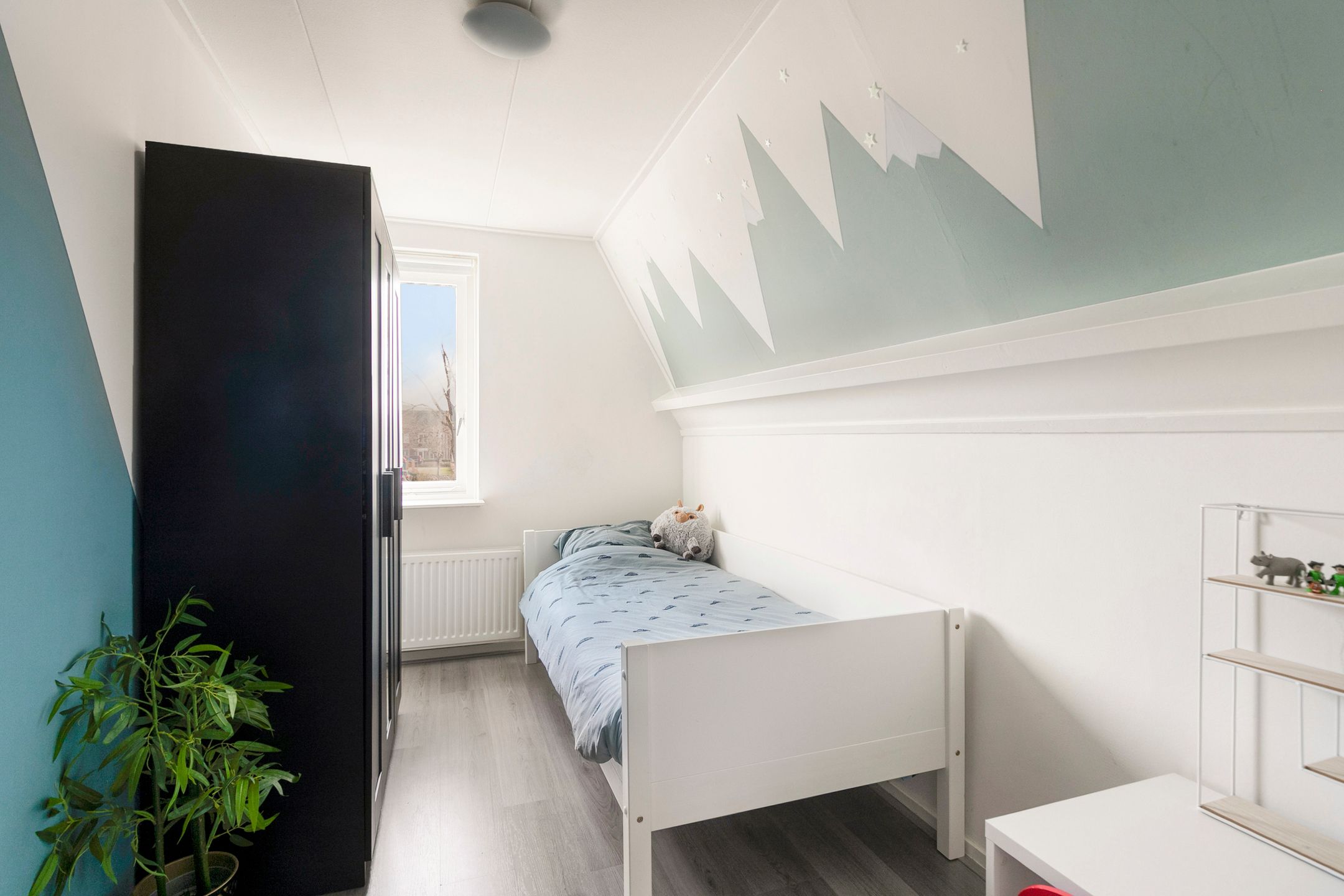 Foto 30 van Silene 67