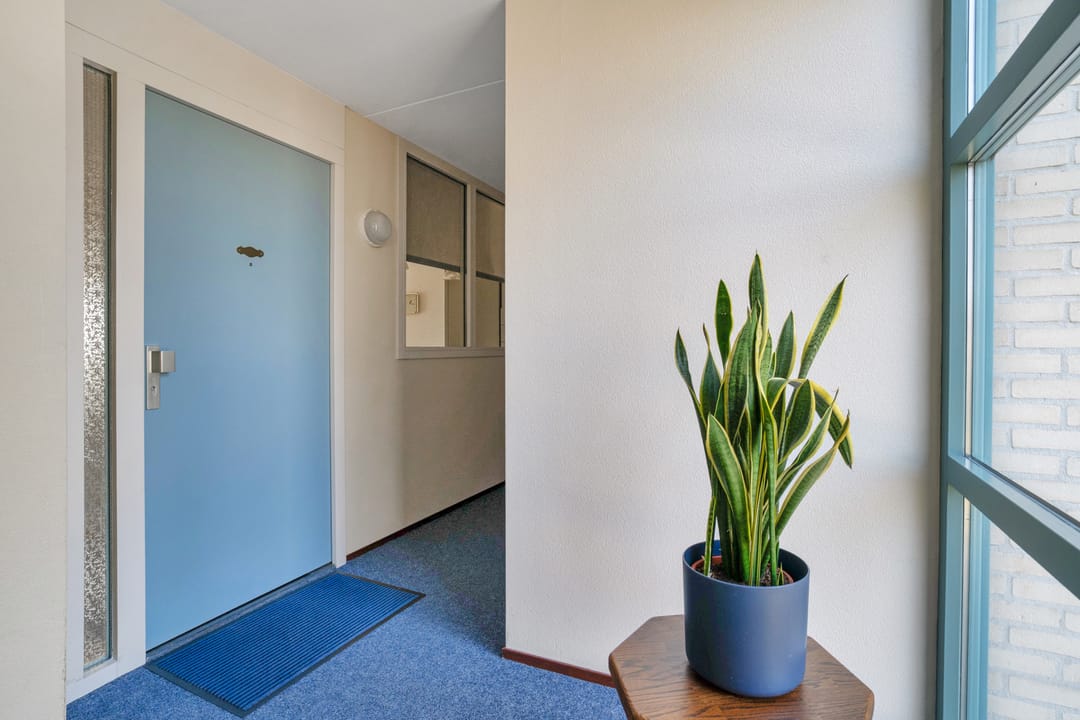 Foto 32 van Salamanderstraat 73