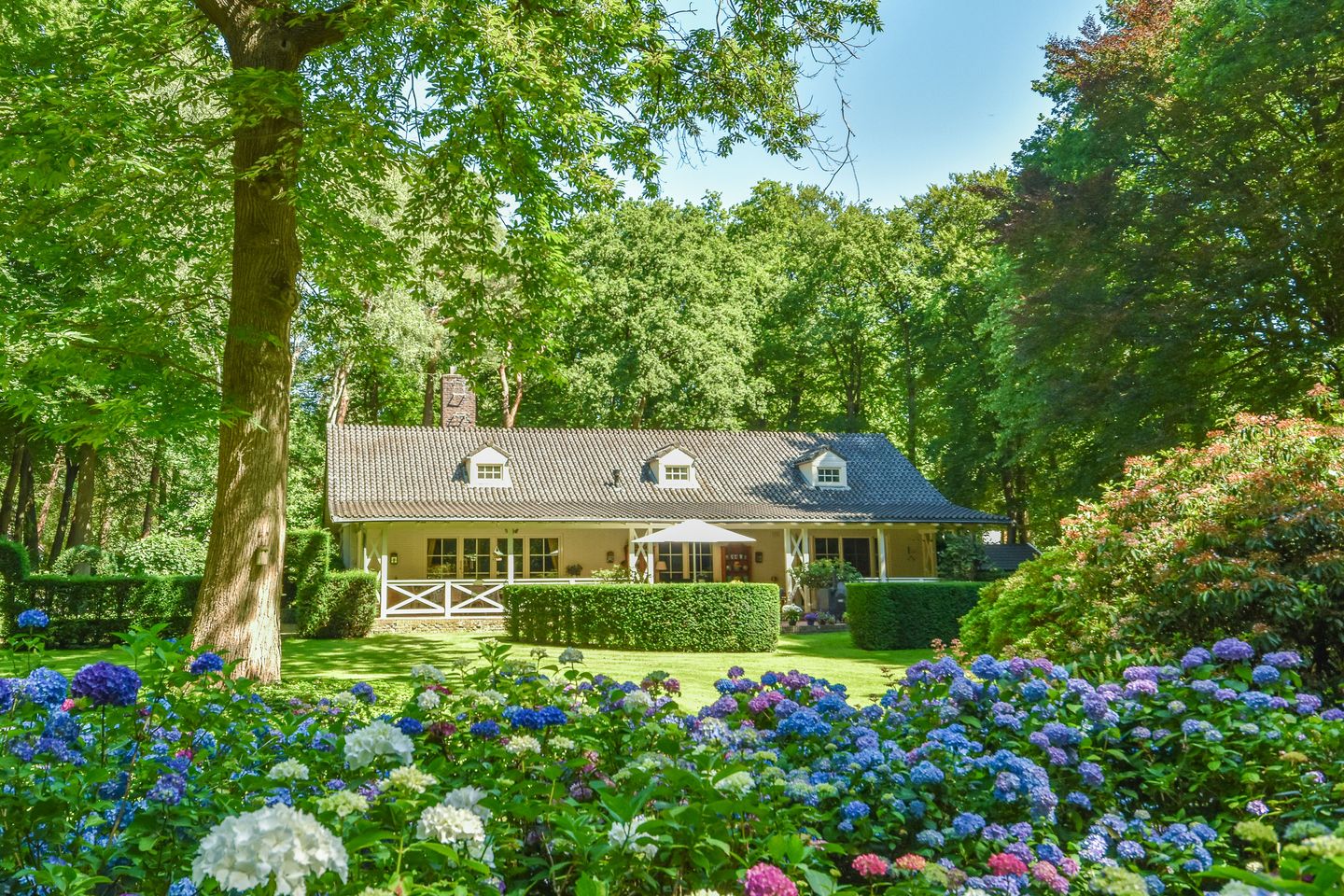 Photo 44 of Prins Hendriklaan 17