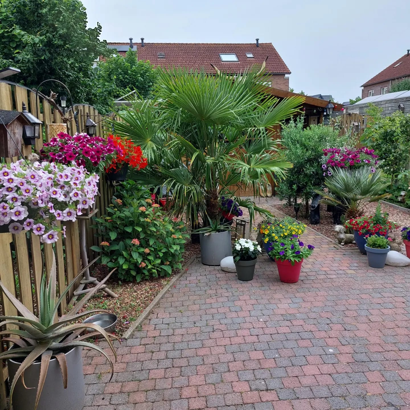 Foto 30 van Bronmos 3