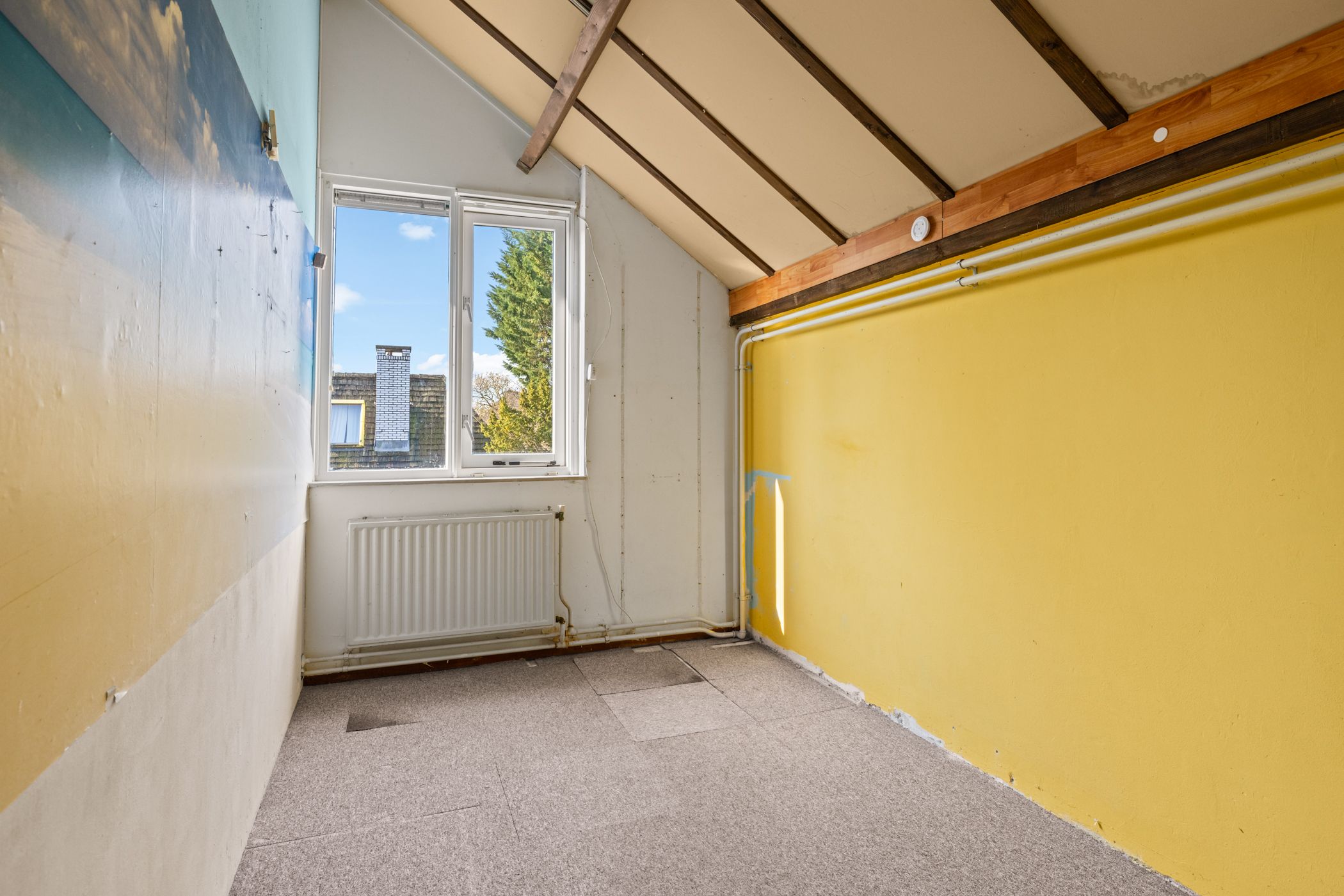 Foto 39 van Dissel 8