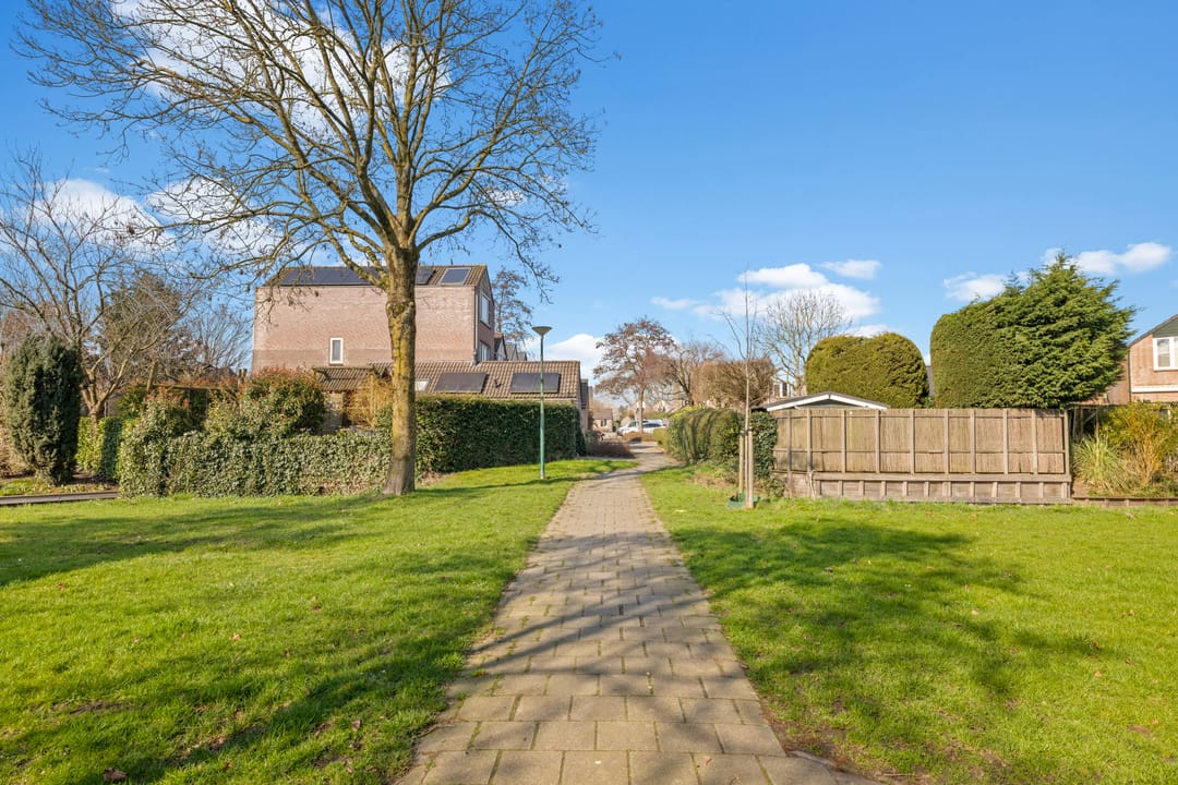 Foto 46 van Dissel 8