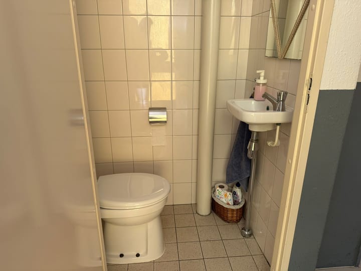 Foto 4 van Albert van Dalsumstraat 3