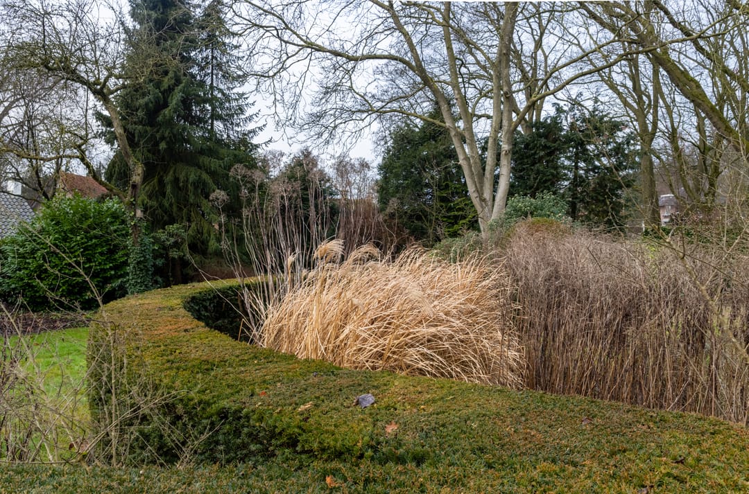 Photo 32 of Molenbelterweg 19