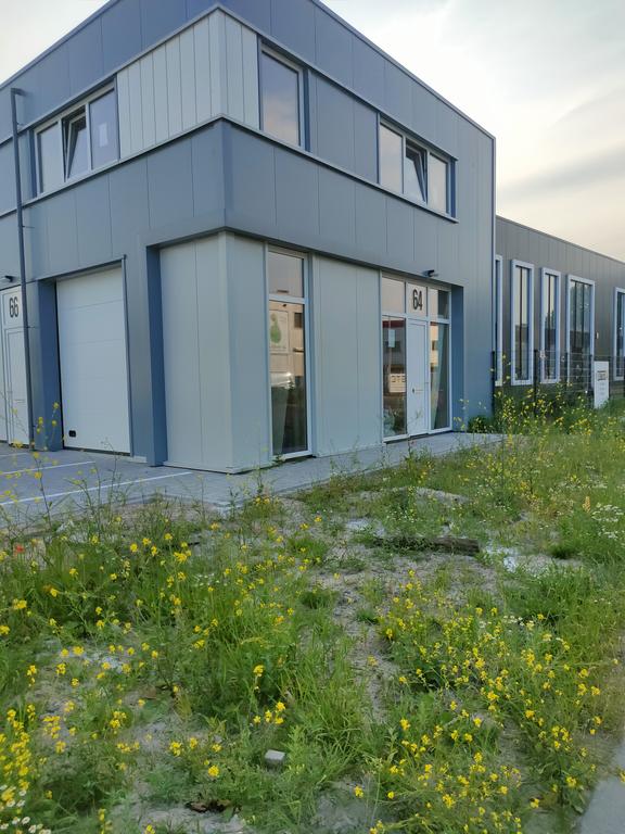 Bekijk foto 2 van Zandzuigerstraat 84