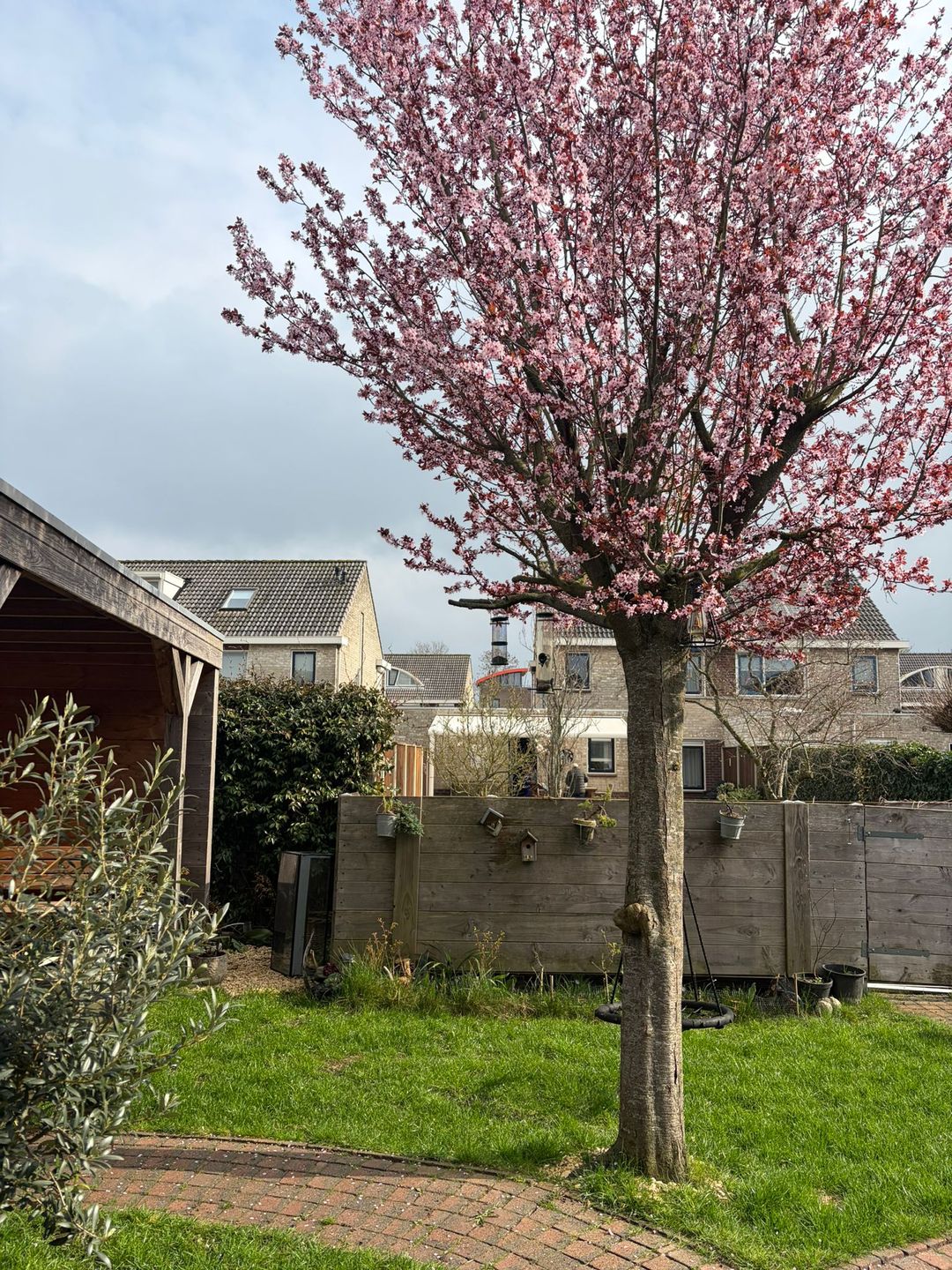 Foto 37 van Robijnboog 26