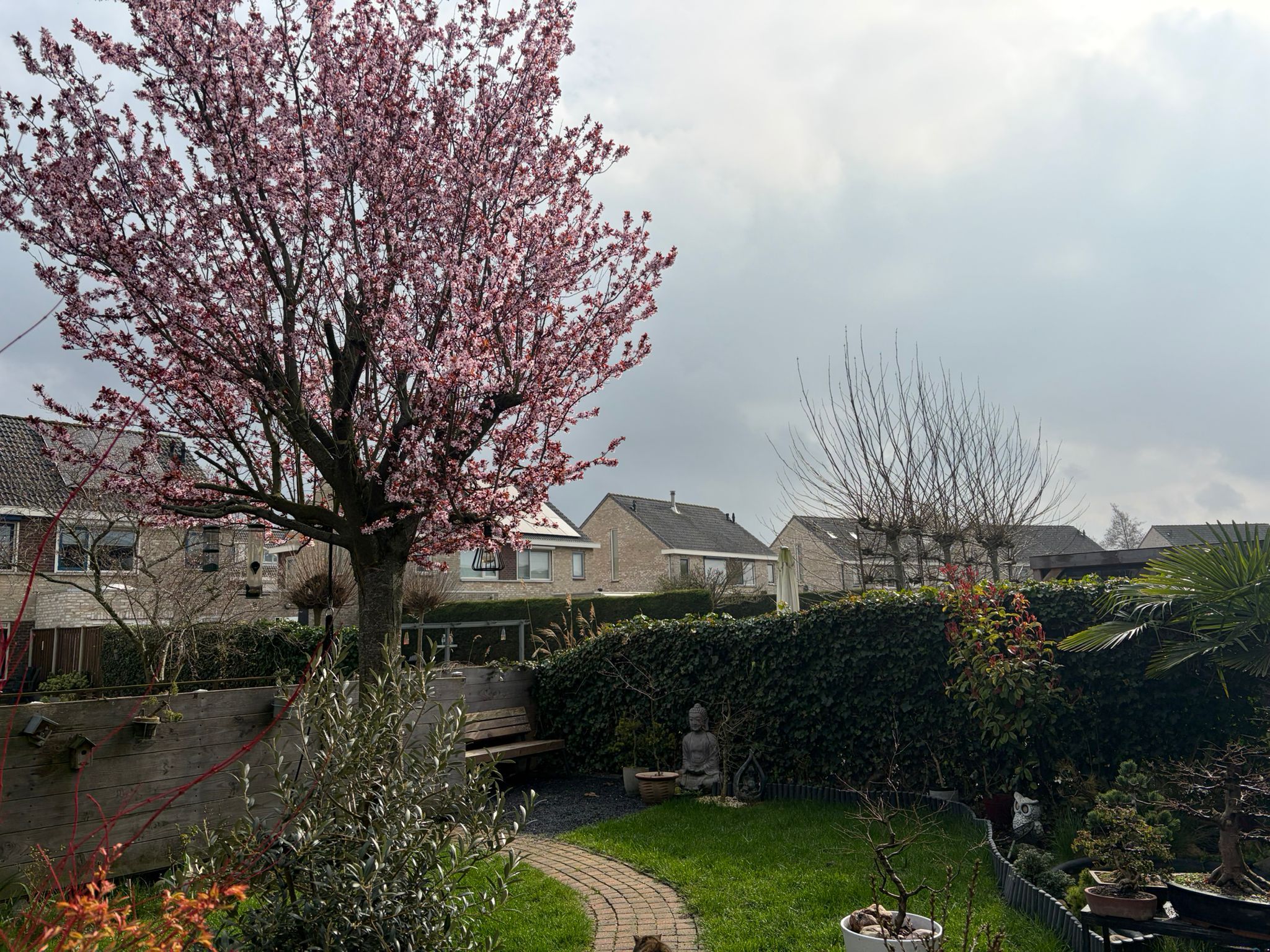 Foto 36 van Robijnboog 26