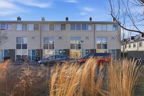 undefined main image