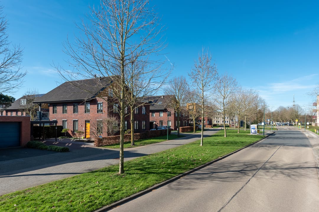 Foto 8 van Singel 50