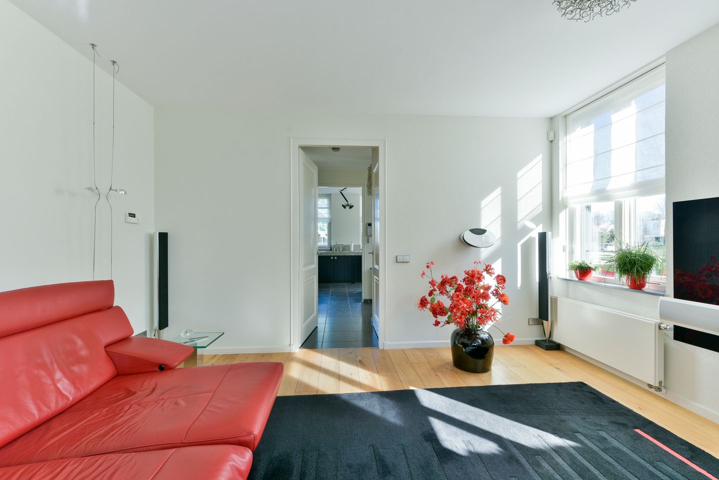 Foto 19 van Singel 50