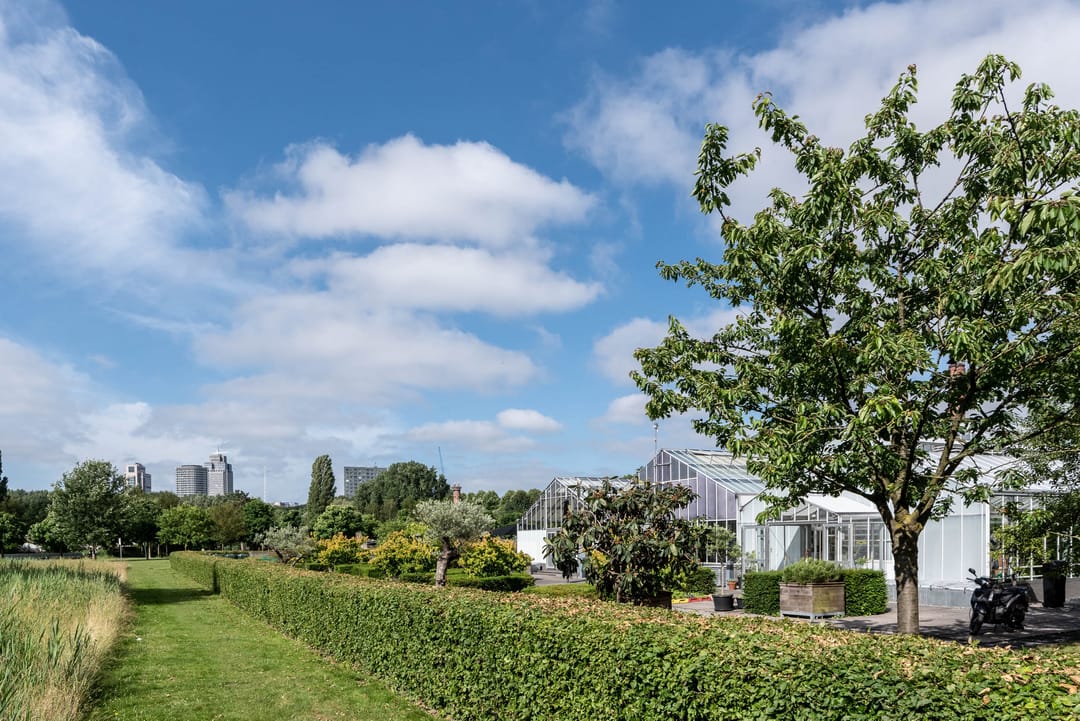 Foto 23 van Willem Beukelsstraat 20-H