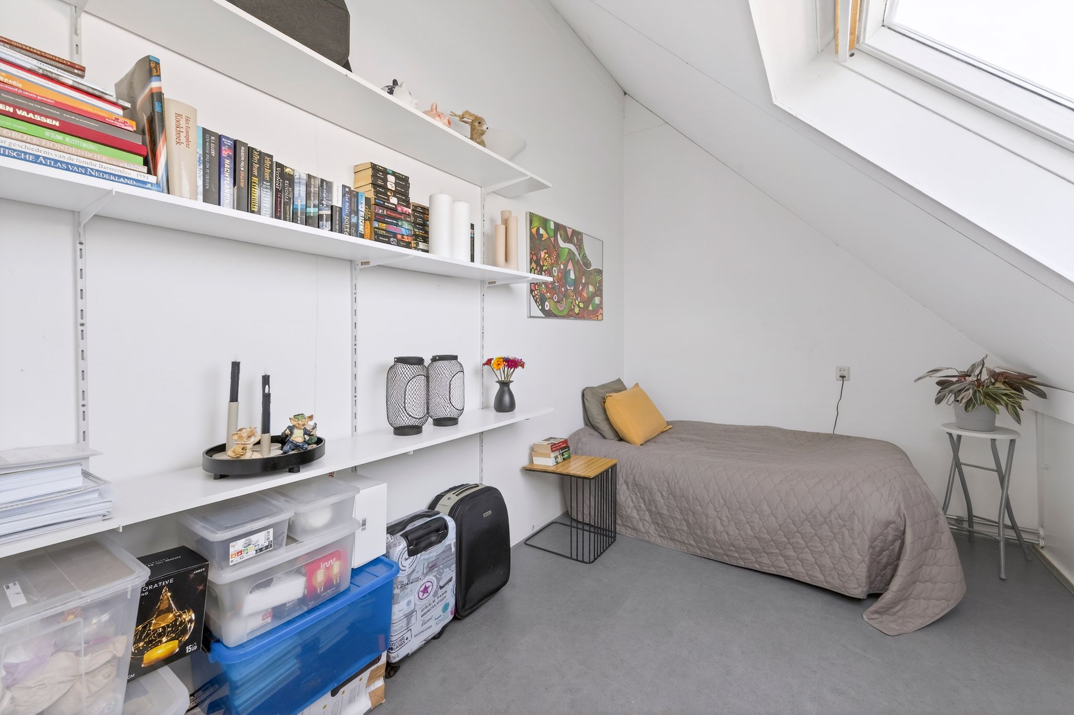 Foto 21 van Sleutelbloem 12