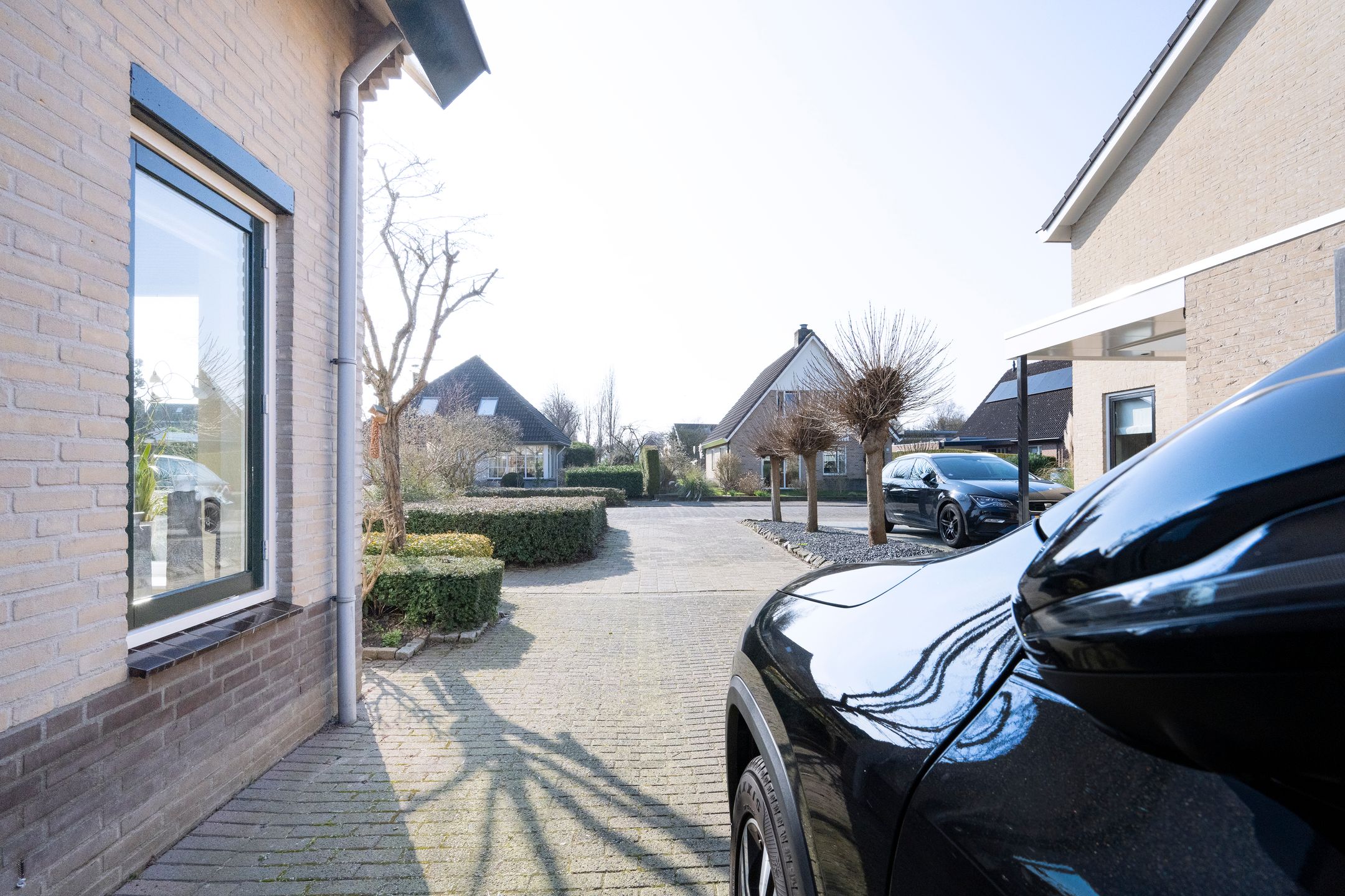 Foto 24 van Sleutelbloem 12