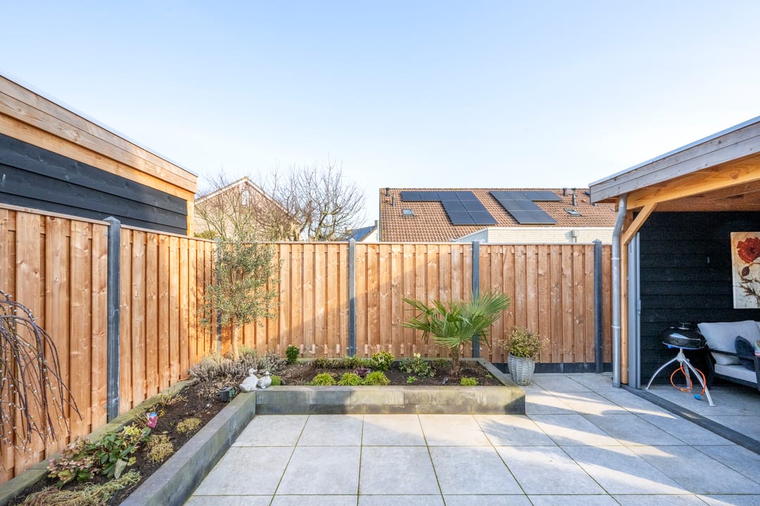 Foto 26 van Sleutelbloem 12