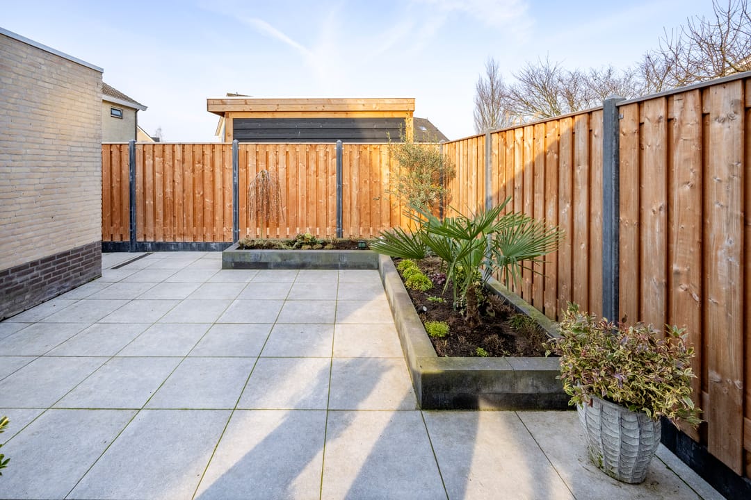 Foto 32 van Sleutelbloem 12