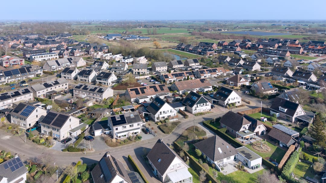 Foto 38 van Sleutelbloem 12