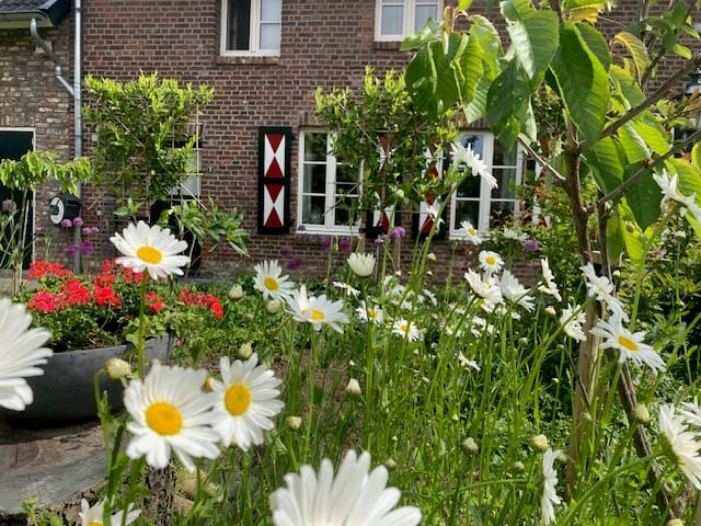 Foto 40 van Vroelenstraat 3