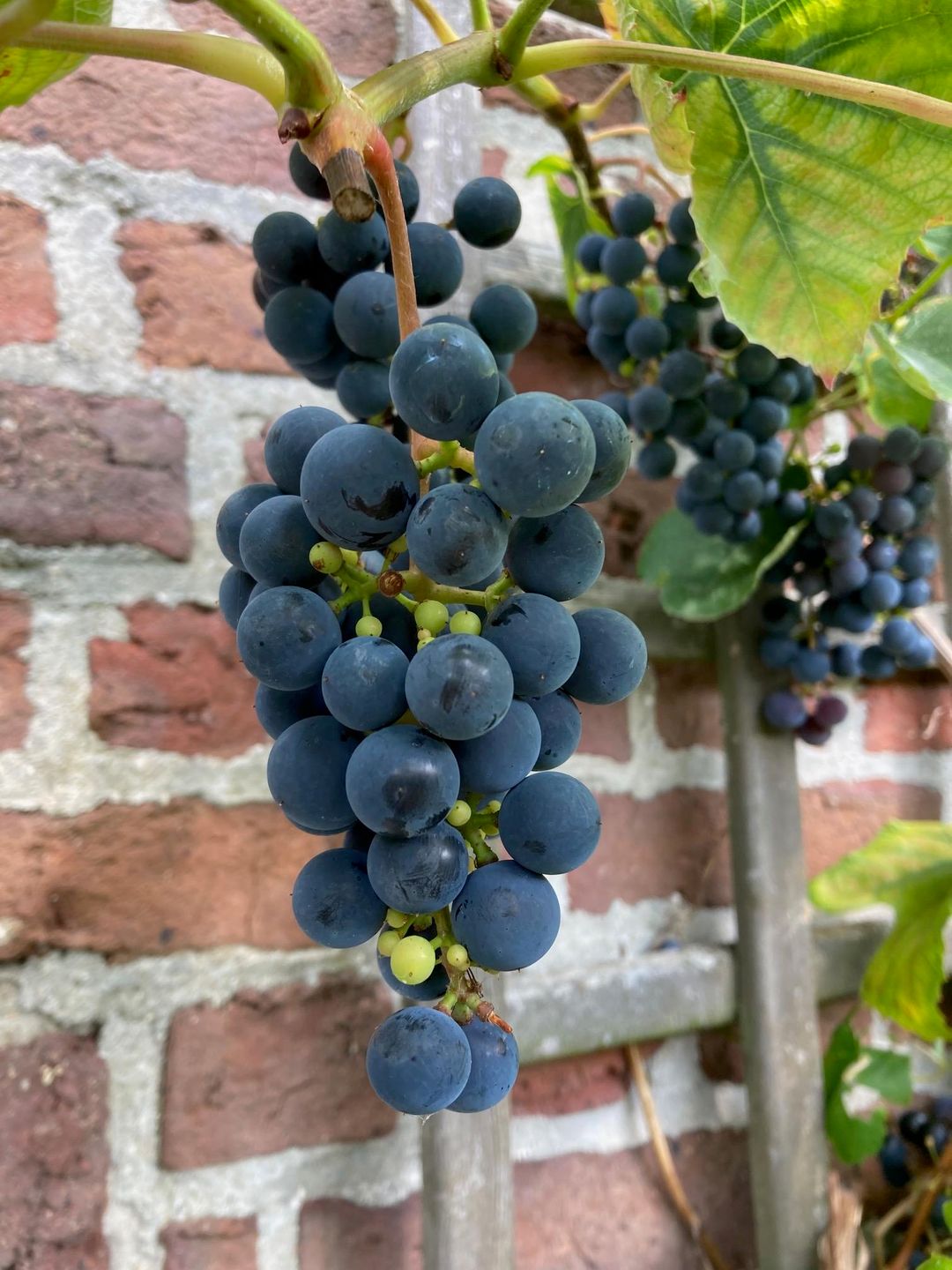 Foto 47 van Vroelenstraat 3