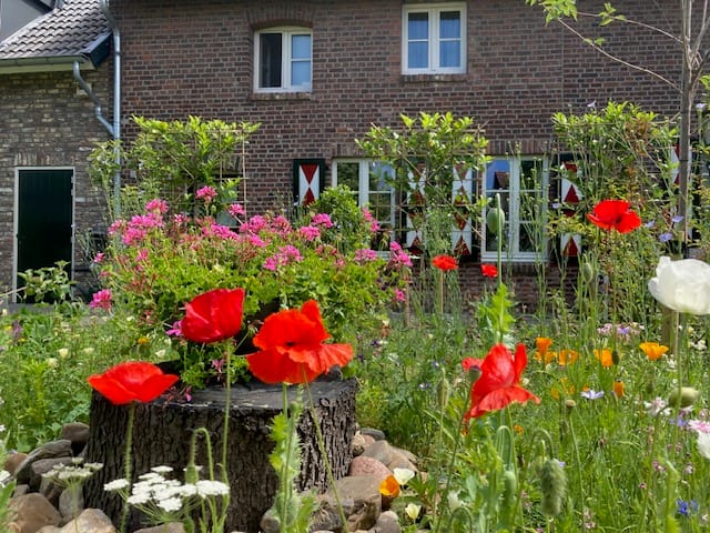 Foto 43 van Vroelenstraat 3