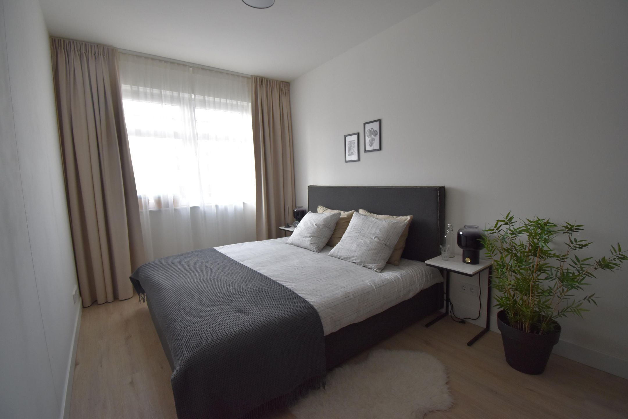 Foto 15 van Weegbree 15