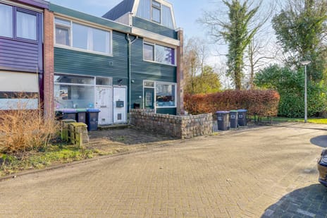 Leliestraat thumbnail