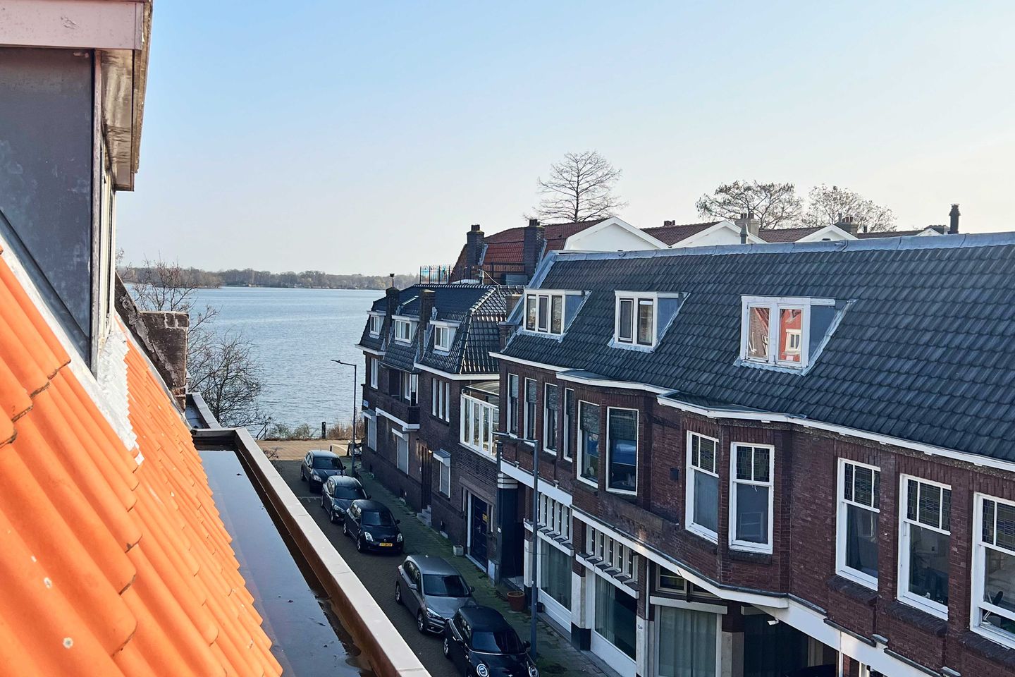 Foto 10 van Willem van Hillegaersbergstraat 141-D