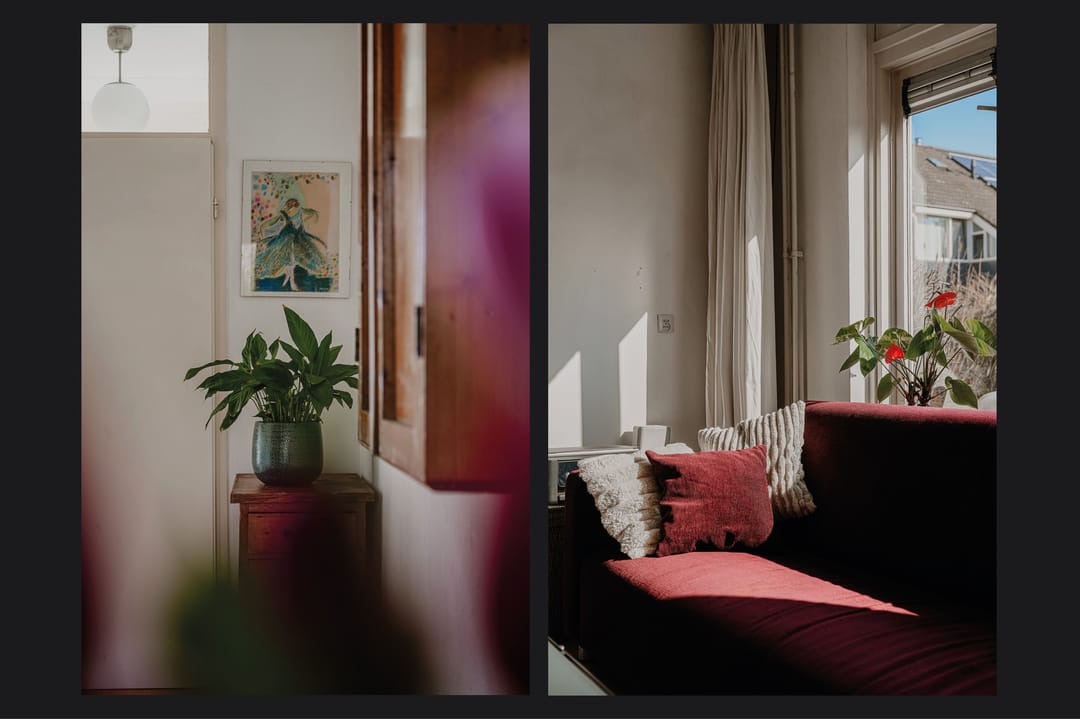 Photo 11 of Hoveniersland 26