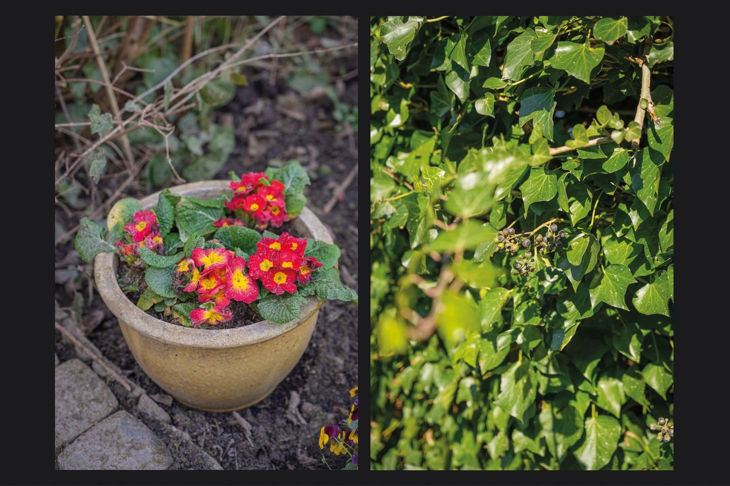 Photo 34 of Hoveniersland 26