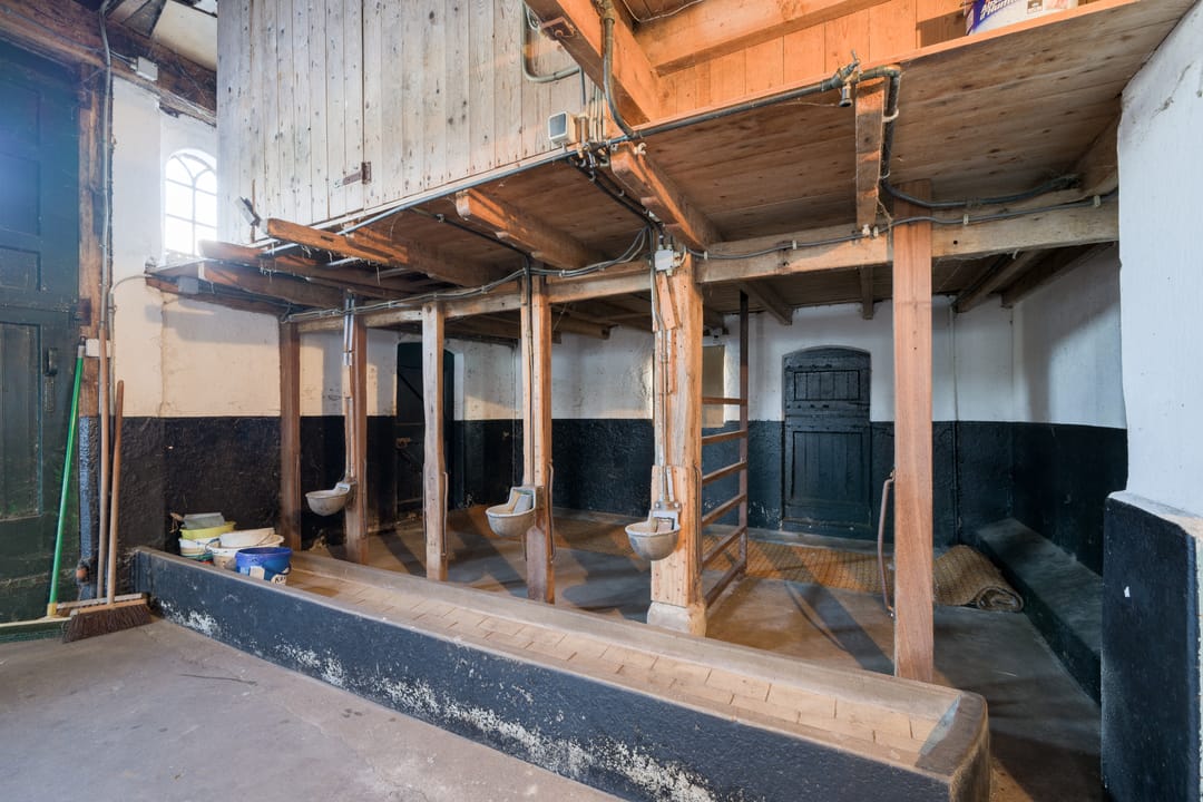 Foto 28 van Ruurloseweg 73