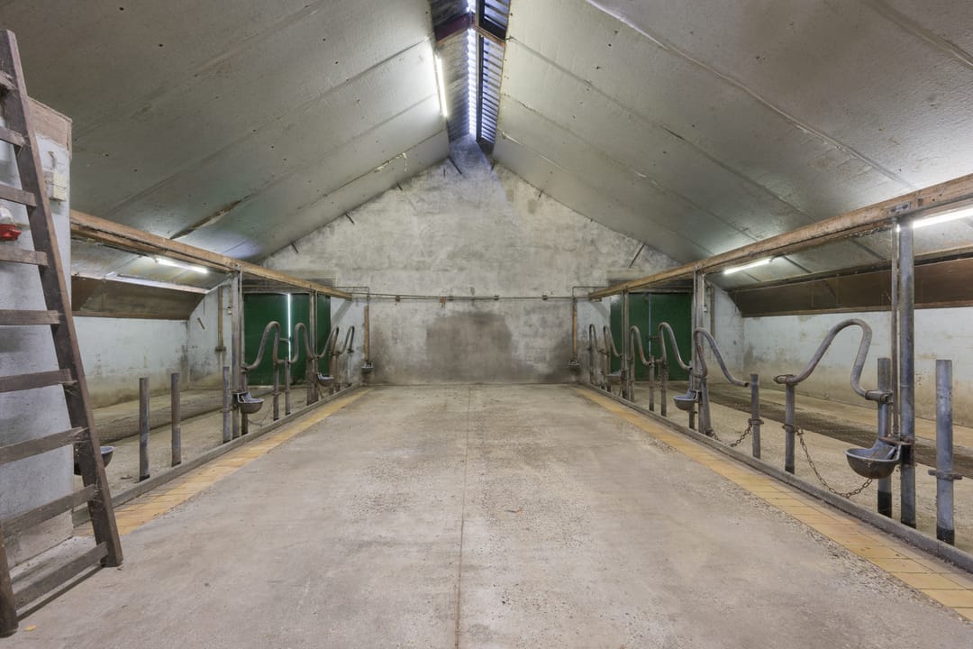 Foto 32 van Ruurloseweg 73