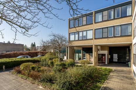 undefined main image