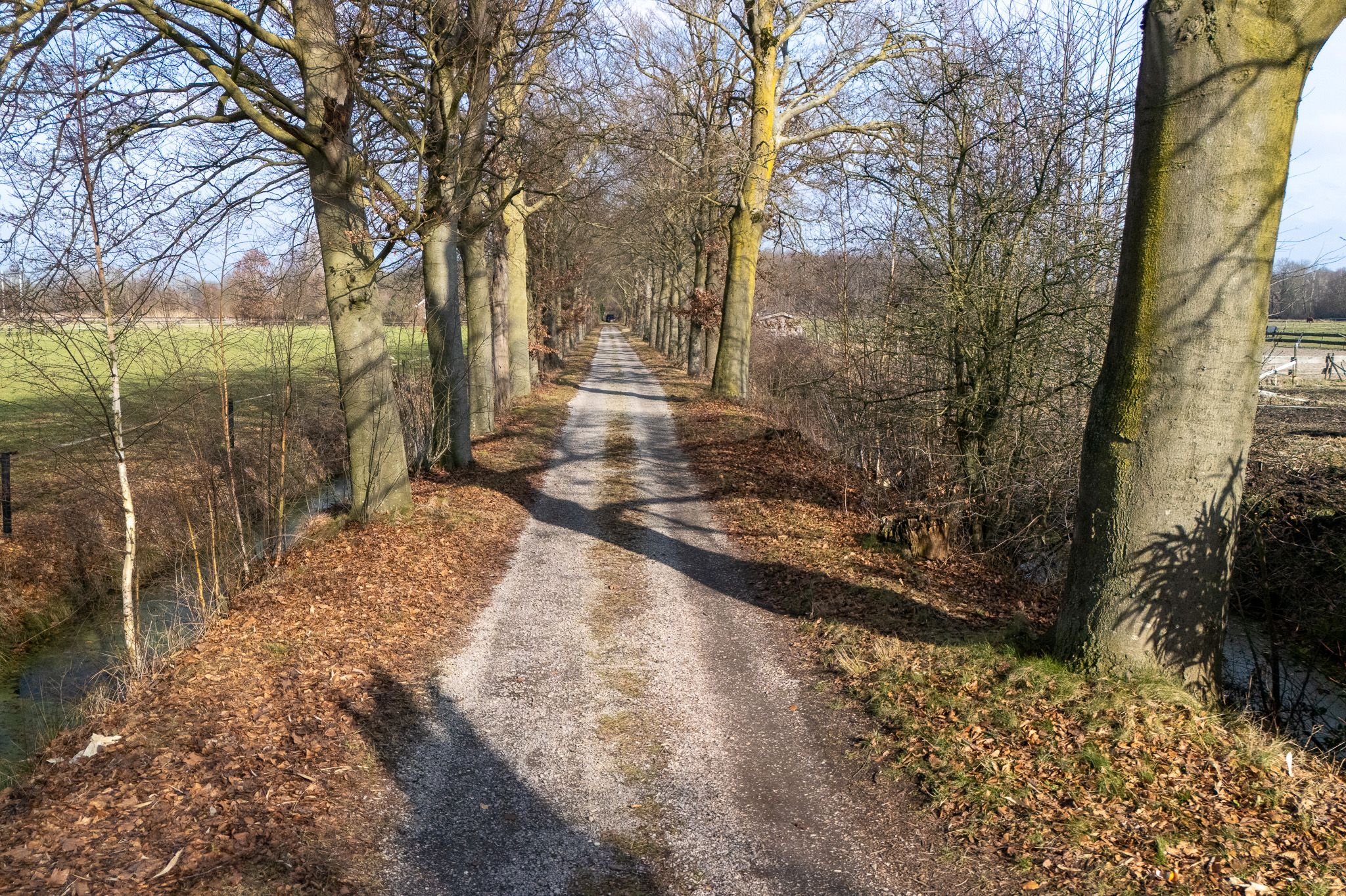 Photo 6 of Groenekanseweg 173