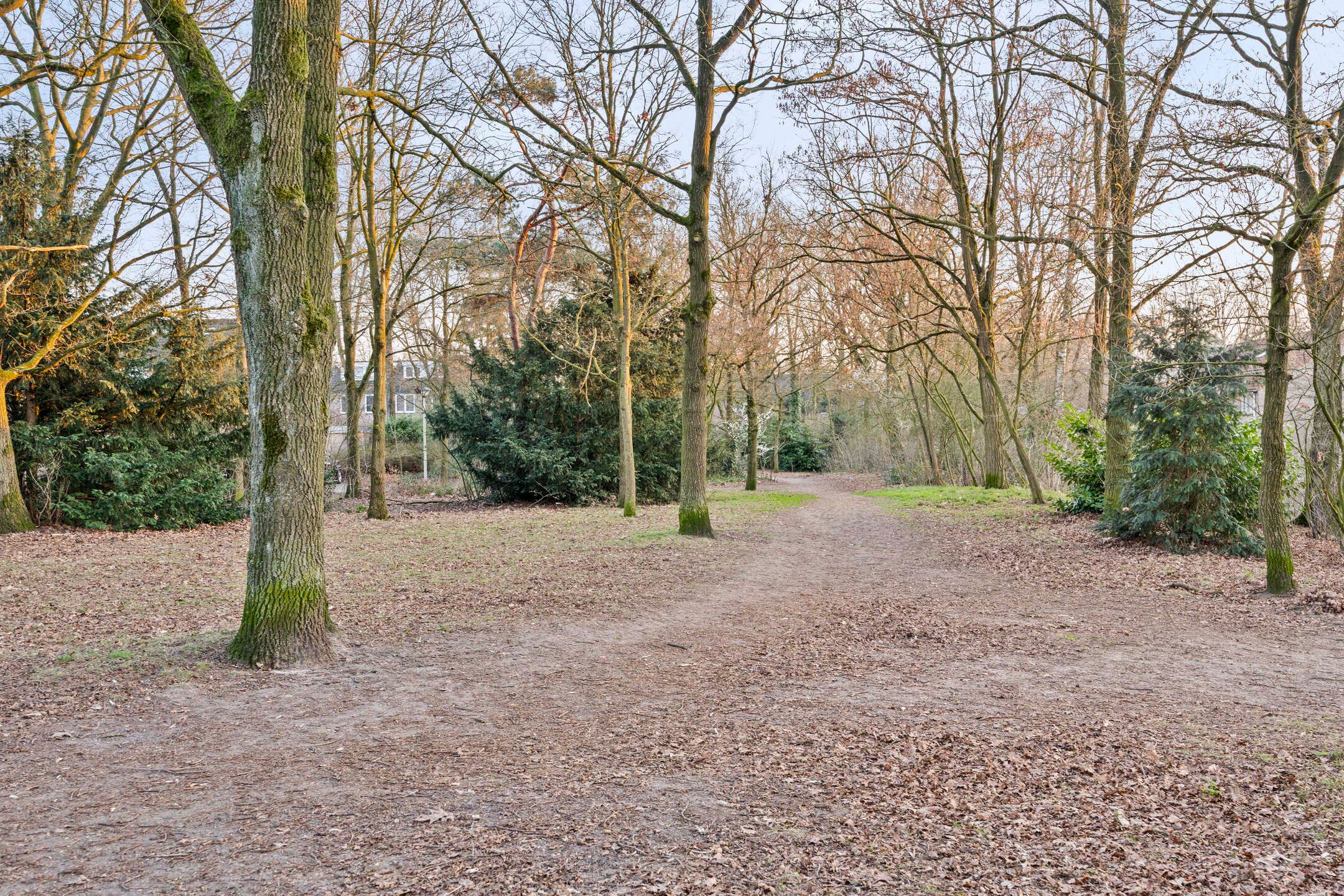 Foto 42 van Rijpelplein 21