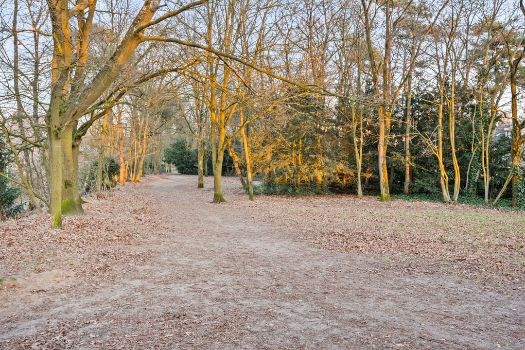 Foto 43 van Rijpelplein 21