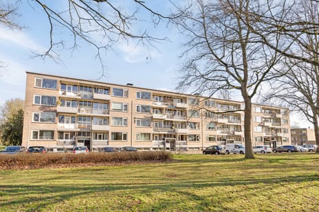 Europalaan thumbnail