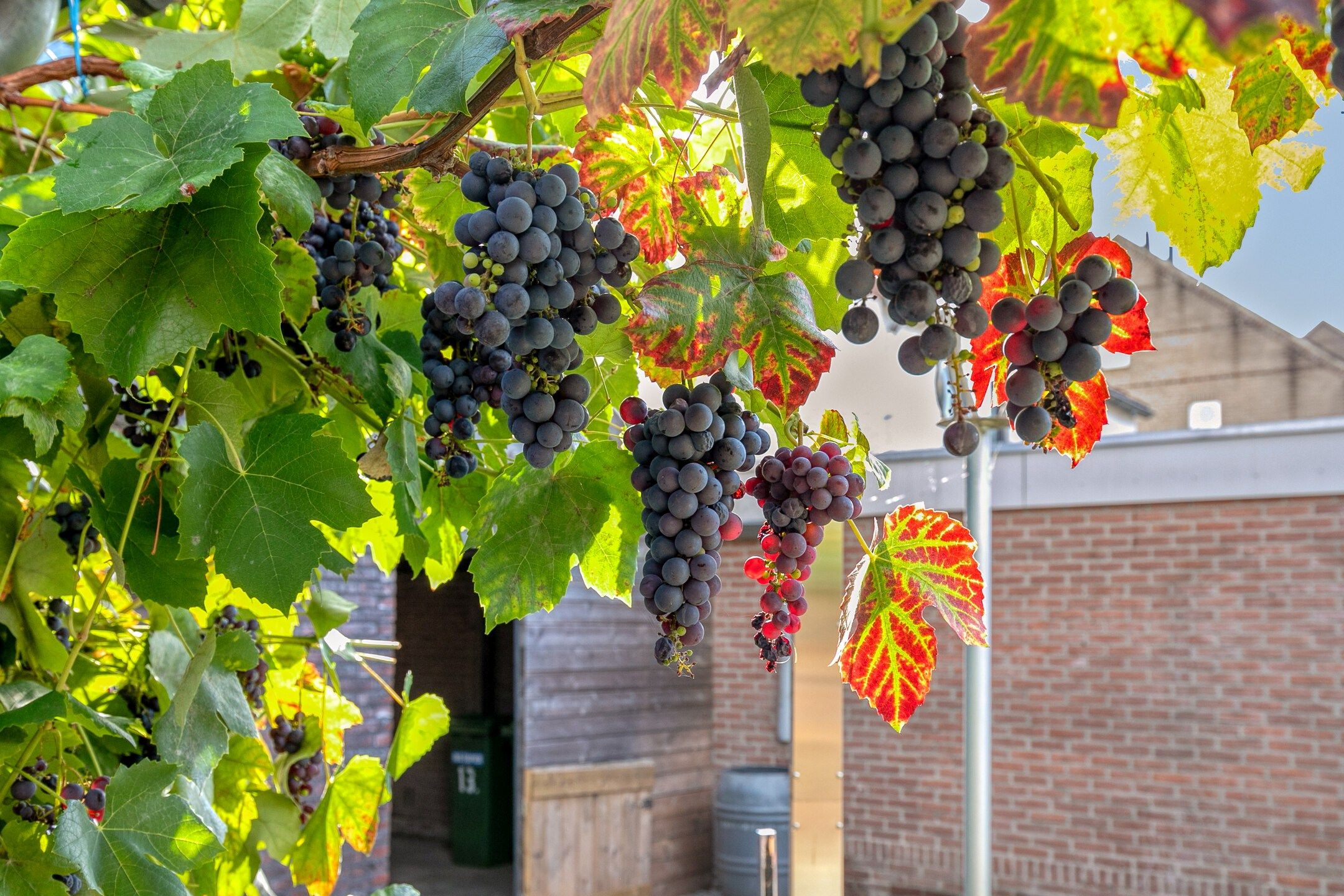 Foto 27 van Beukenlaan 13