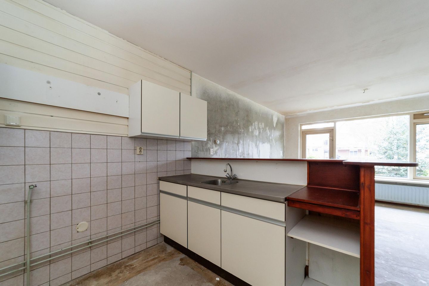 Foto 10 van Antilopespoor 186