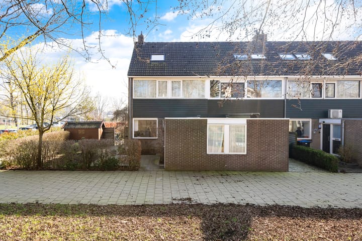 Gouden Regen 17 main image