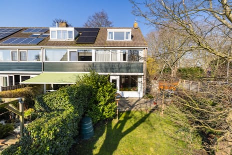 Gouden Regen 17 secondary image