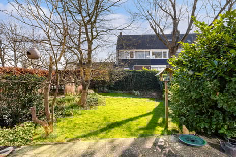 Gouden Regen 17 tertiary image