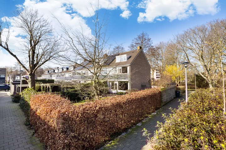 Gouden Regen 17 main image