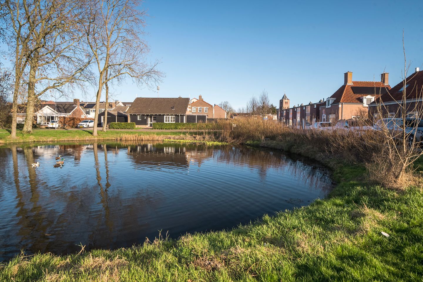 Foto 35 van Doornluststraat 50