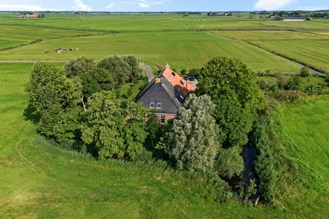 Hilaerdermieden thumbnail