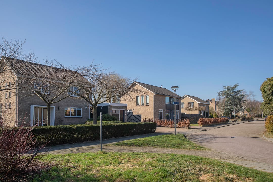 Foto 37 van Lesturgeonstraat 1